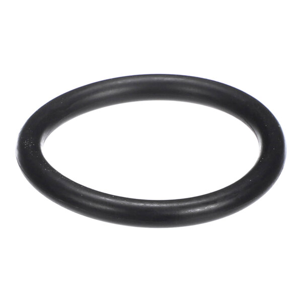 A black rubber-like circular ring, commonly used as a sealing gasket.