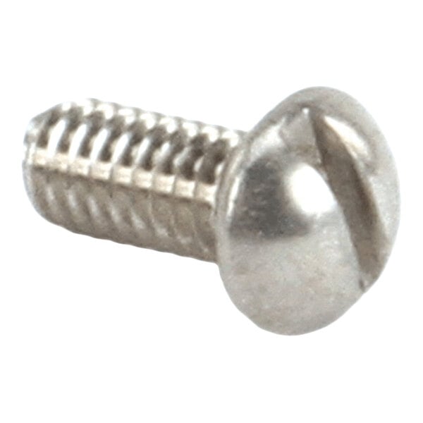 A metal screw with a slotted truss head and threaded shaft.