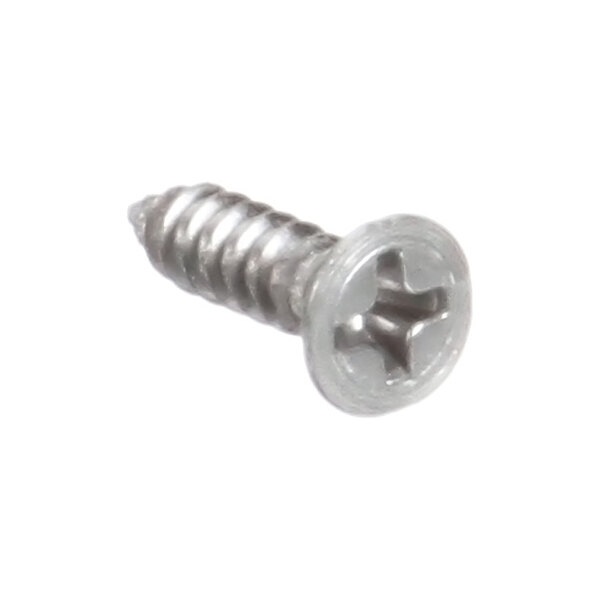A single metal screw with a Phillips head and a flat, wide head, shown against a white background.