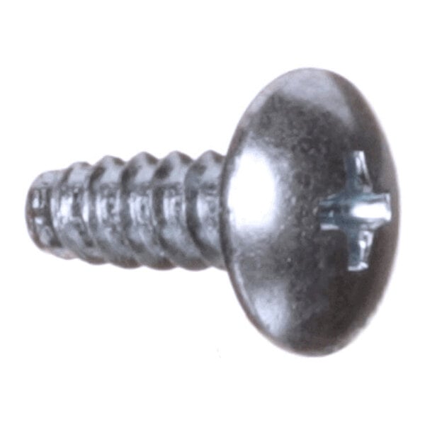 A close-up view of a metal screw with a round head and a Phillips drive.