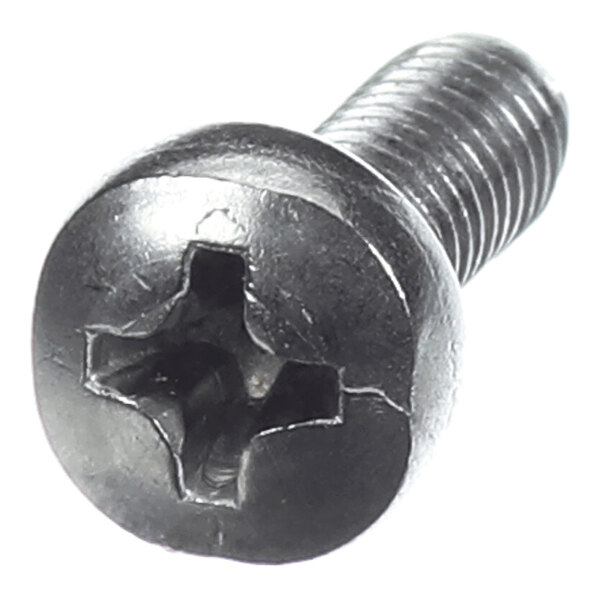 A close-up view of a metal screw with a Phillips head and a round, pan-shaped top.
