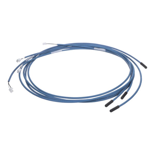 A coiled blue cable with black-tipped probes on one end and white connectors on the other end.