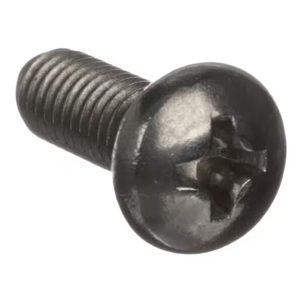 A black, pan head screw with a Phillips drive and threaded shaft.