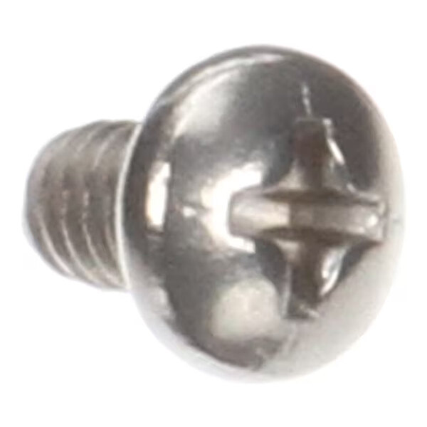 A close-up view of a metallic Phillips head screw with a pan-shaped head and threaded body.
