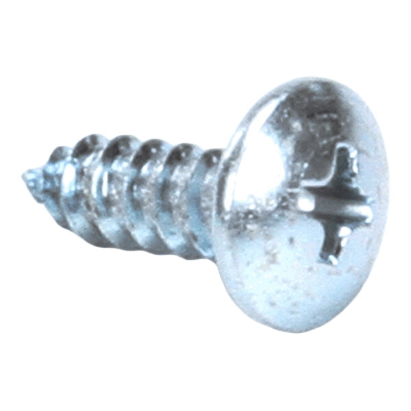 A close-up view of a shiny metal screw with a Phillips head and a rounded top.