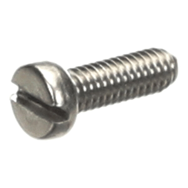 A metal screw with a slotted head and threaded body.