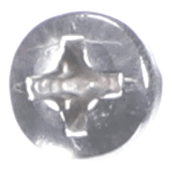 A close-up view of a metallic screw with a Phillips head.