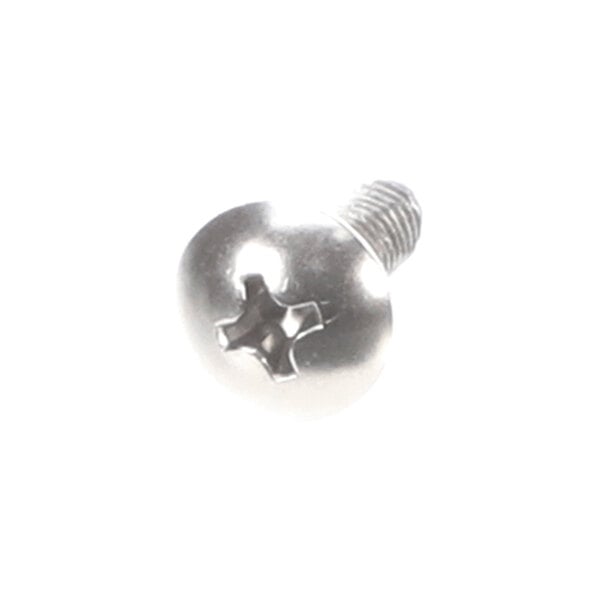 A single metallic Phillips head screw with a round head and threaded shaft, shown against a white background.