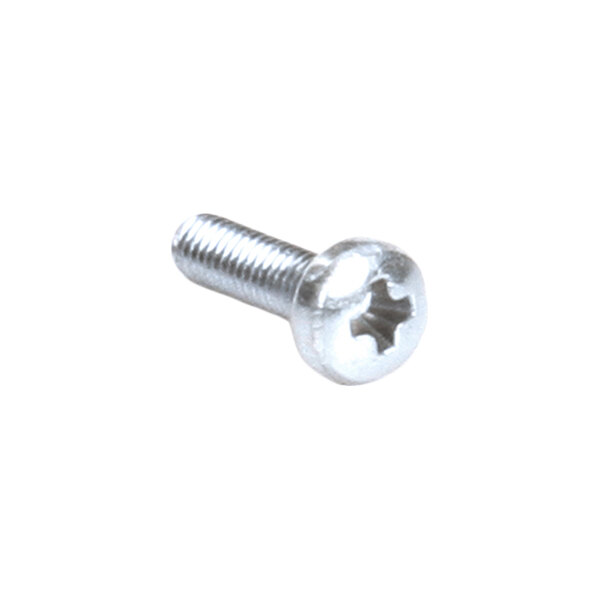 A single metal screw with a Phillips head and a round, slotted top.