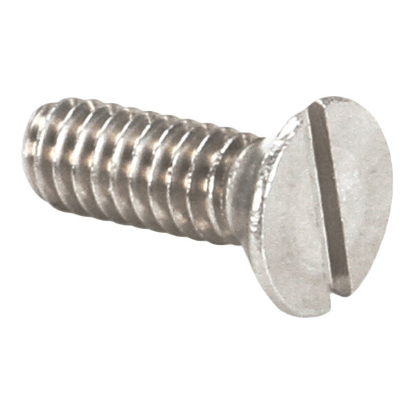A metal screw with a flat head and a slotted drive.