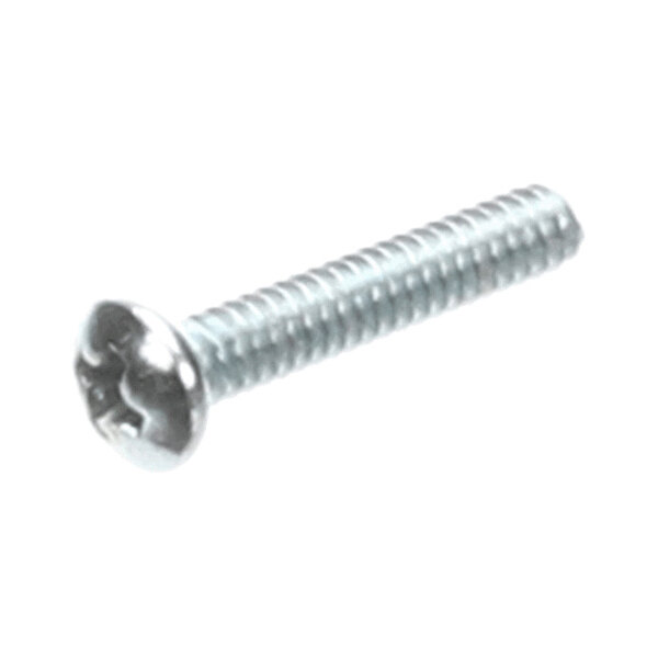 A metal screw with a round, slotted head and threaded shaft.