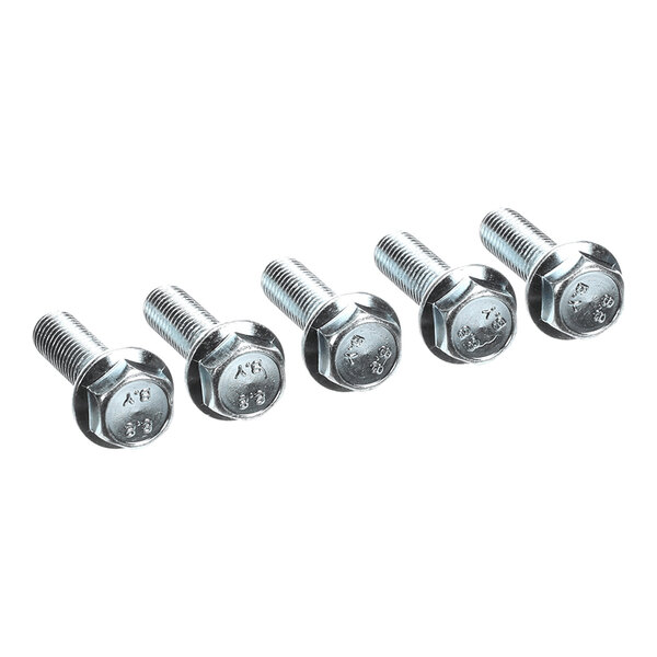 Five metallic hex head screws with threaded shafts are arranged in a row on a white background.