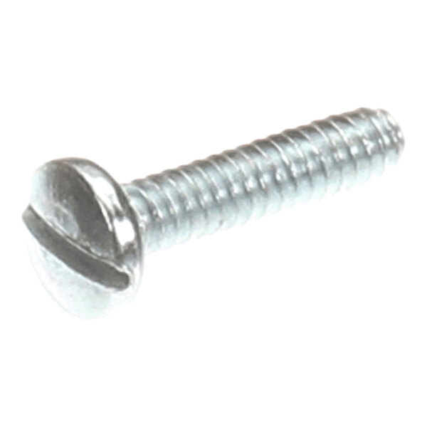 A metal screw with a slotted round head and threaded shaft.