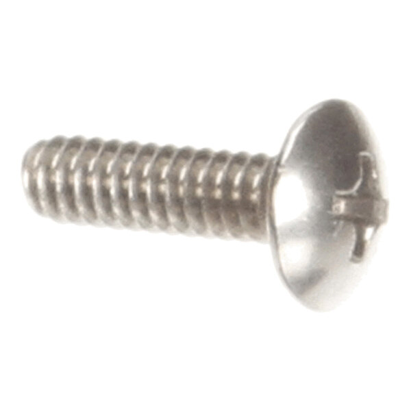 A metal screw with a round head and a Phillips drive.