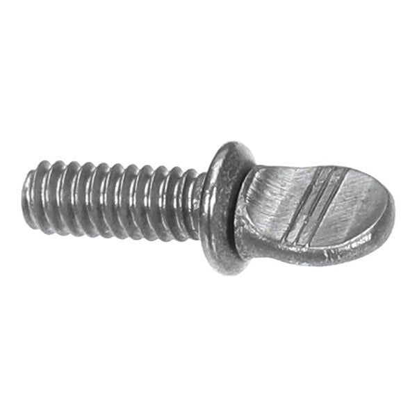 A metal thumb screw with a slotted, flat, oval-shaped head and threaded shaft.