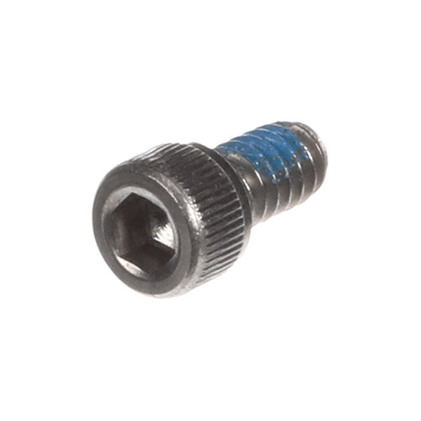 A metal screw with a hexagonal socket head and blue thread-locking compound on the threads.