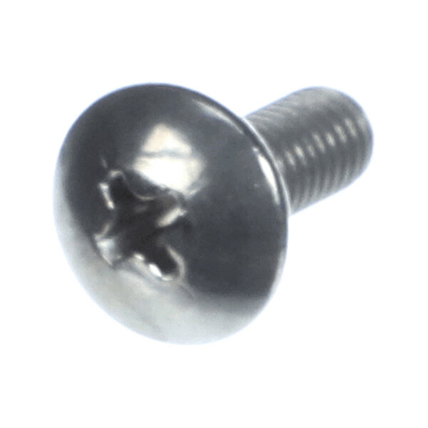 A metallic screw with a round, slotted Phillips head and a threaded shaft.