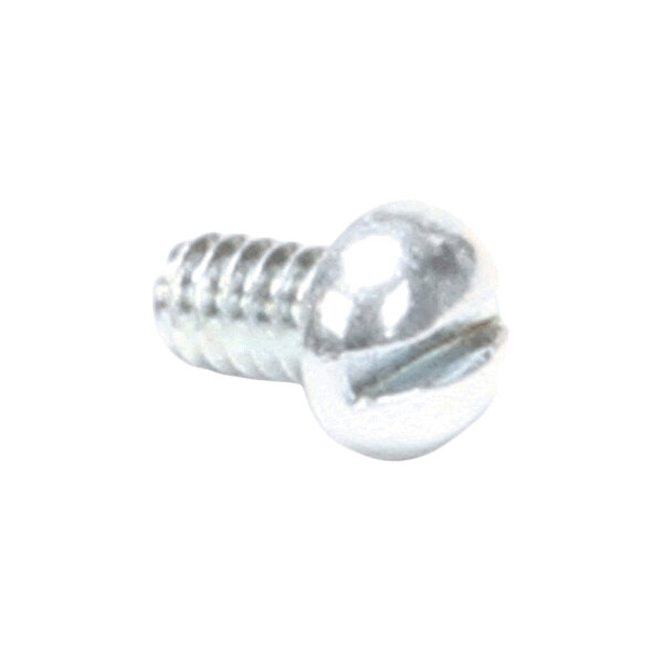 A small, silver, round-head screw with a slotted drive and short threaded shaft.
