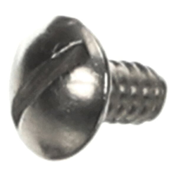 A close-up view of a metallic screw with a slotted round head and threaded body.
