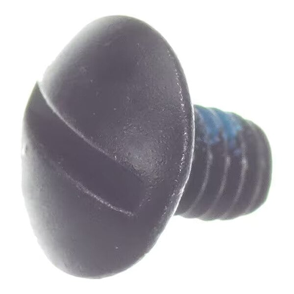 A close-up view of a black, slotted, round-head screw with visible threading.