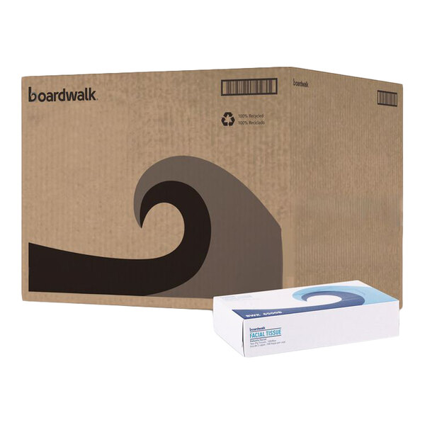 A large brown cardboard box with a wave design and a smaller white rectangular box with blue accents placed in front of it.