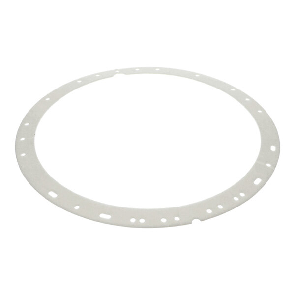 A thin, circular gasket with multiple small holes and cutouts along its perimeter.