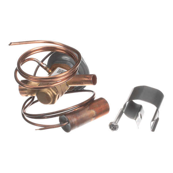 A brass and copper valve assembly with coiled tubing, accompanied by a metal clip and a screw, all placed on a white background.