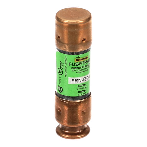 A cylindrical fuse with copper-colored metal ends and a green label in the center displaying specifications.
