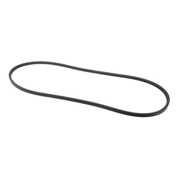 A black, oval-shaped belt with a toothed inner surface, shown against a white background.