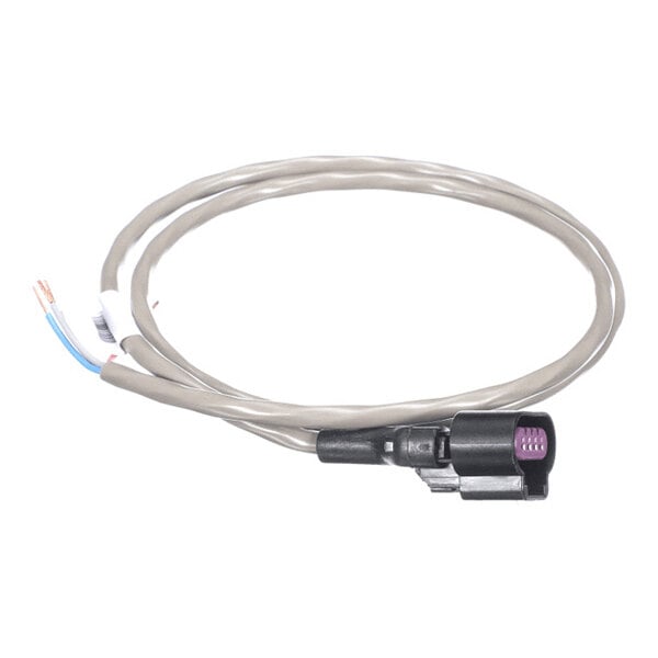 A coiled gray wire harness with a black and purple female connector on one end and exposed wire leads on the other end.