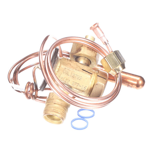 A brass valve assembly with coiled copper tubing and two blue O-rings, photographed on a white background.