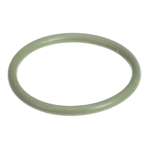 A green circular rubber-like ring shown against a white background.