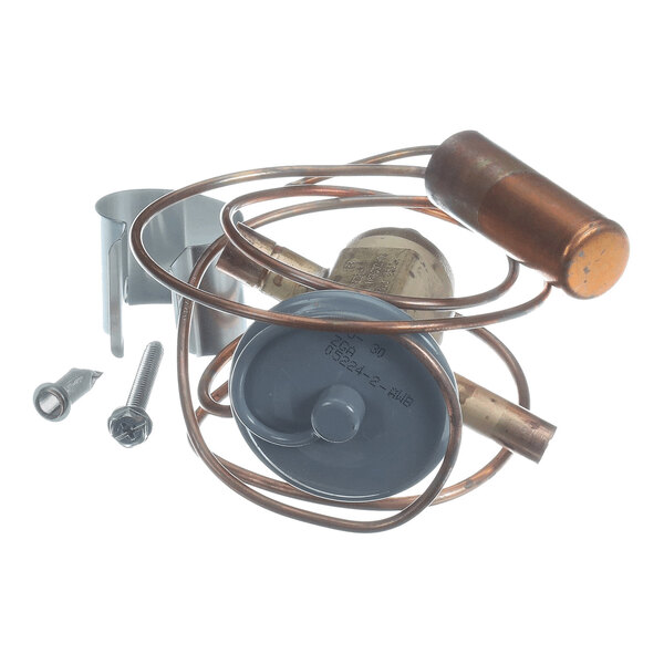 A coiled copper tube assembly with attached metal components, a gray circular part, and two screws.