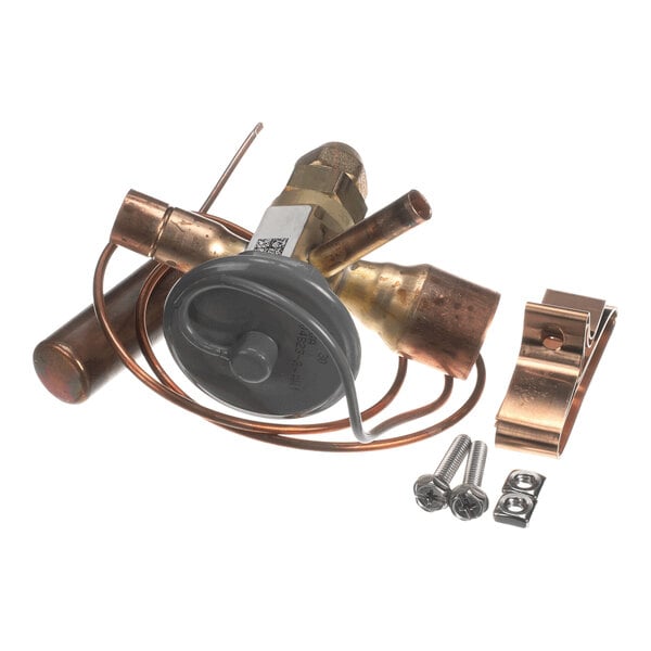 A brass and copper valve assembly with attached copper tubing, a gray circular component, a metal clip, and two screws with nuts.