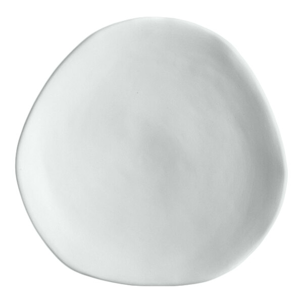 An irregularly shaped, plain white plate with a smooth surface.