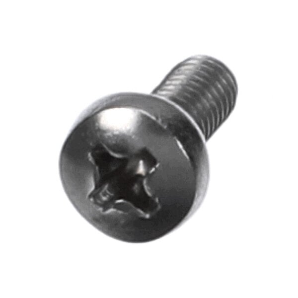 A metal screw with a Phillips head and a round, slotted top.