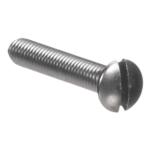 A metal screw with a slotted round head and threaded shaft.