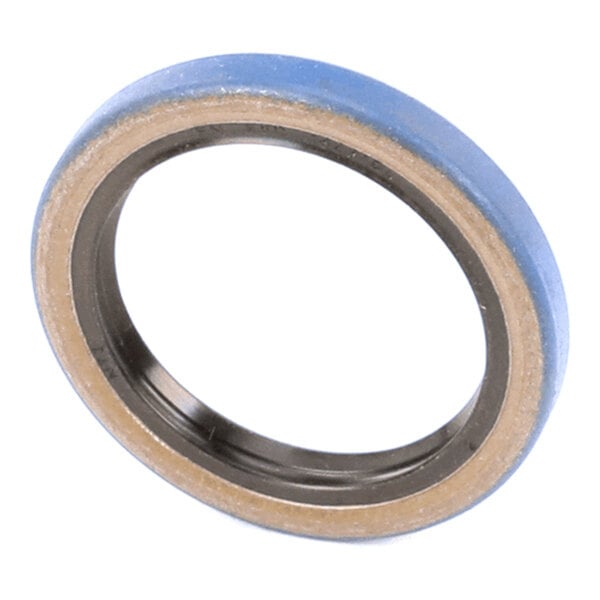 A circular ring with a blue outer edge and a metallic inner surface, likely a mechanical seal or gasket.