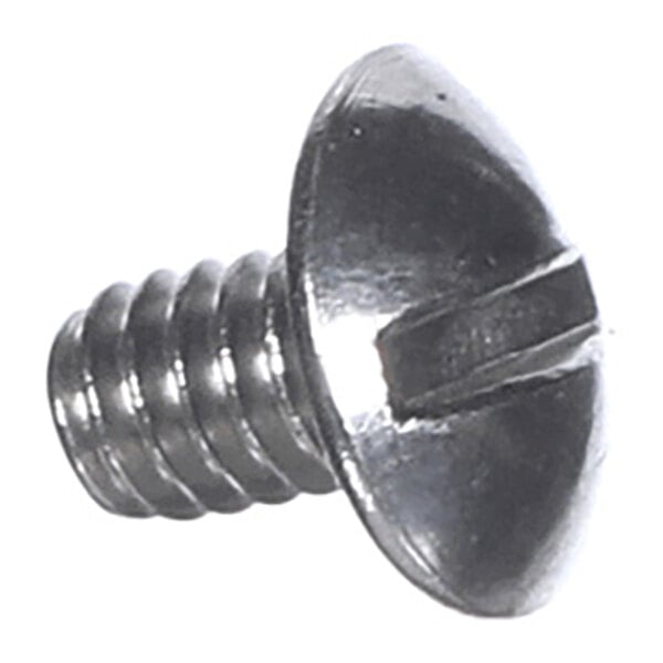 A metal screw with a slotted truss head and a short threaded shaft.