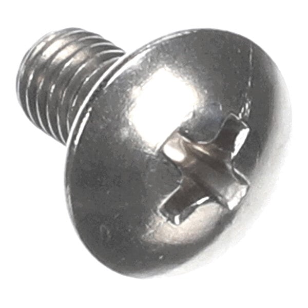 A close-up view of a metallic Phillips head screw with a round, slotted head and threaded shaft.