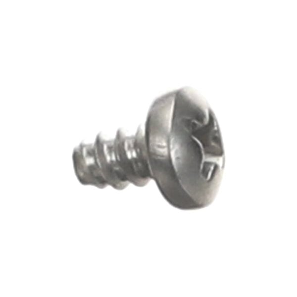 A single metal screw with a round head and a Phillips drive, shown against a white background.