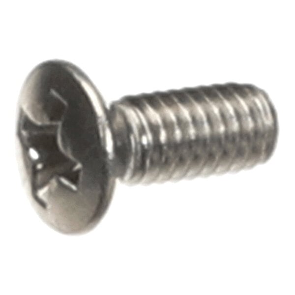 A metal screw with a Phillips oval head and threaded shaft.