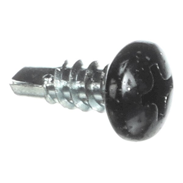 A close-up view of a metal screw with a round, black, slotted head and a self-drilling tip.