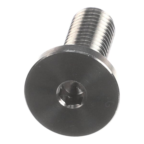 A metal screw with a flat, wide head and a hexagonal socket drive, featuring a threaded shaft.
