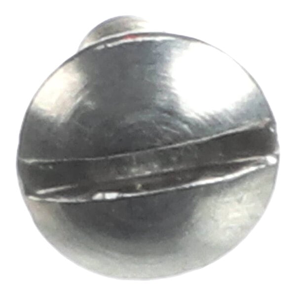 A close-up view of a metallic screw with a slotted pan head.