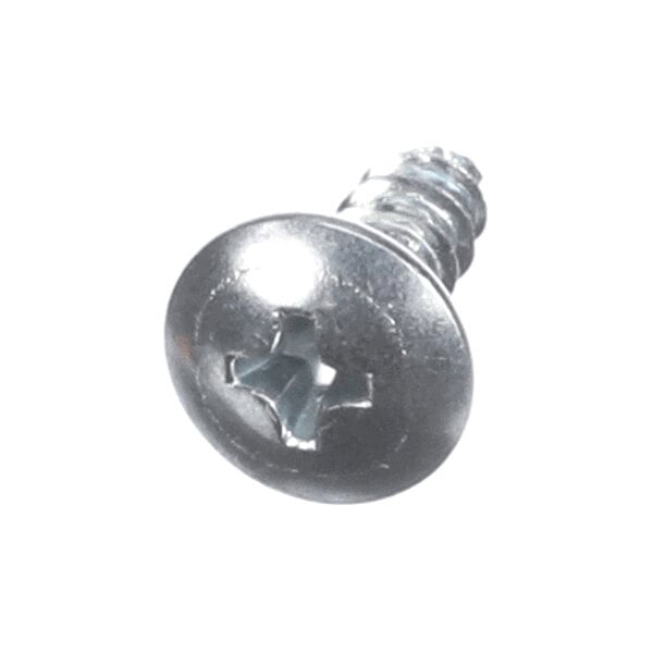 A close-up view of a metallic Phillips head screw with a round, flat top and threaded body.