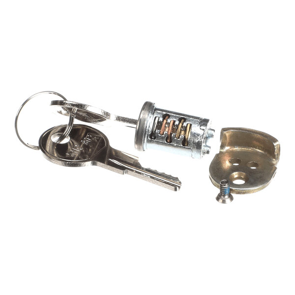 A set of two keys attached to a keyring, a cylindrical lock body with visible internal components, a metal cover, and a small screw.