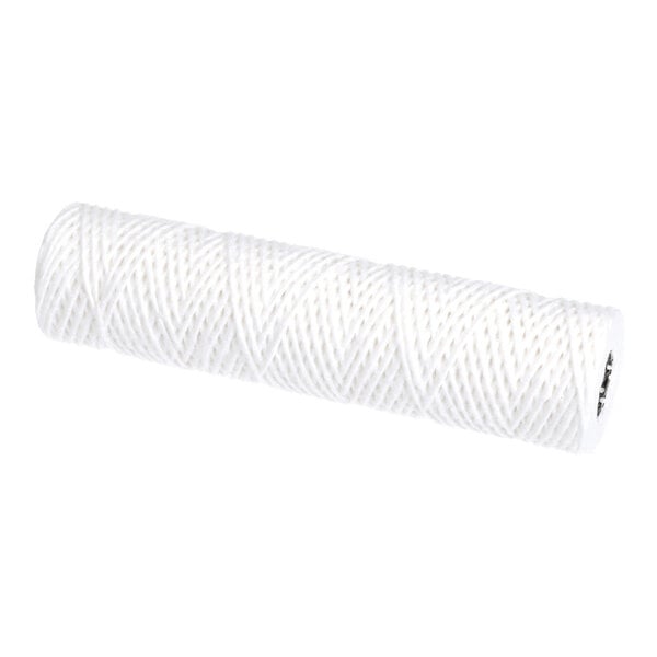Hobart 01-234404-13100 Nd,10Hot Wtr Sediment Filter