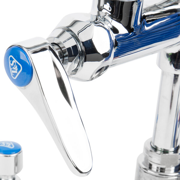 A T&S chrome wall mount pet grooming faucet with blue knobs.