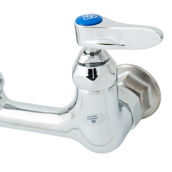 A T&S chrome pet grooming faucet with blue handles.